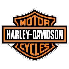 Harley Davidson Fast Johnnie Hoodie